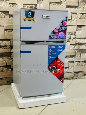 Friji Alyons Liter 100