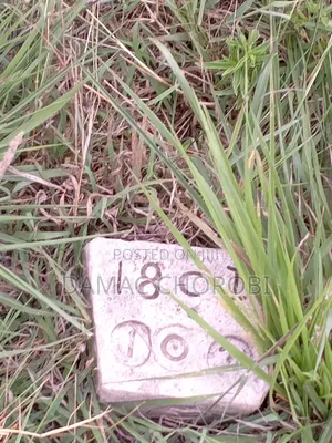 Industry Plot for Sale Loction Kibaha