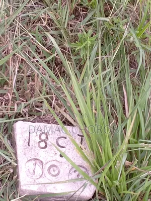 Industry Plot for Sale Loction Kibaha