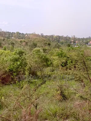 Industry Plot for Sale Loction Kibaha