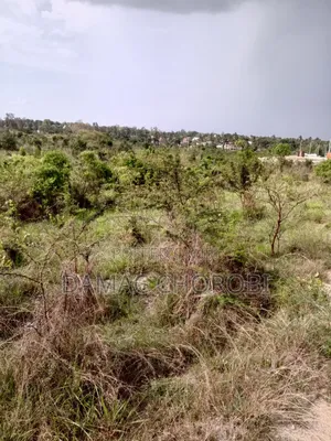 Eneo Linauzwa Kibamba