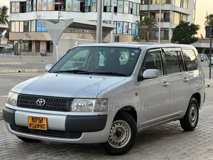 Toyota Probox 2014 Silver