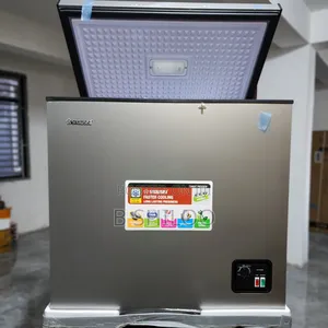 Snowsea Freezer