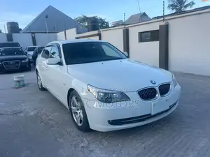 BMW 5 Series 2010 White