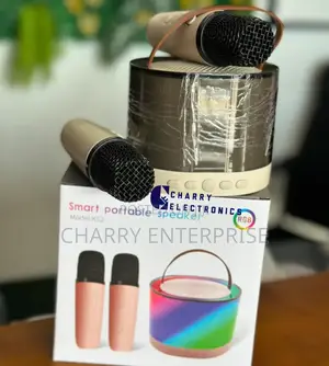 Smart Portable Karaoke Mini Bluetooth Speaker With 2 Mic