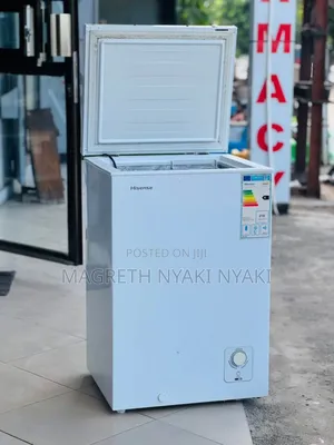 Hisense Freezer Liter 100