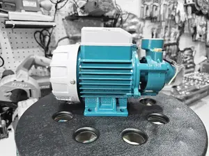 Total Surface Pump 0.5hp