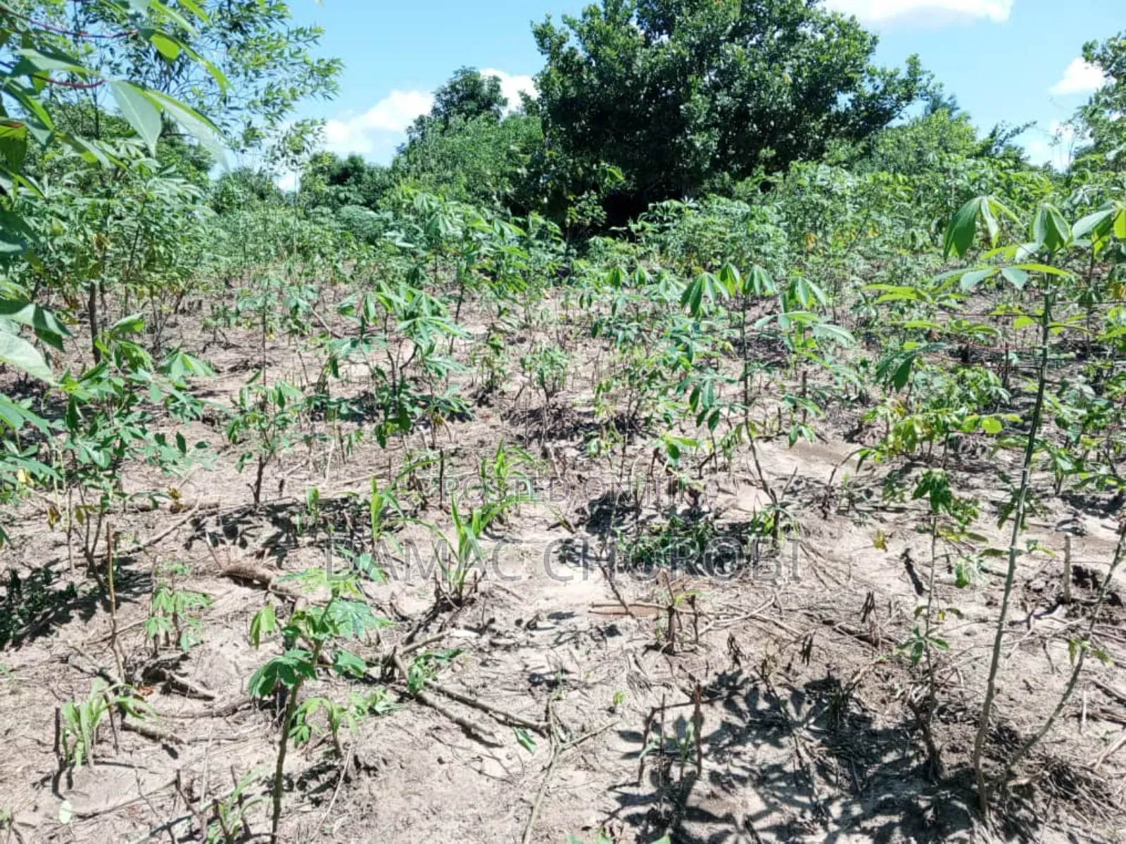Industry Plot Acre 240 for Sale Zegereni Kibaha