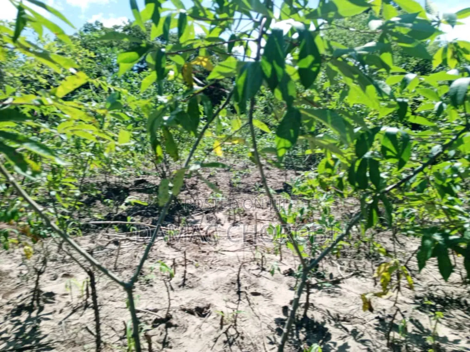 Industry Plot Acre 240 for Sale Zegereni Kibaha