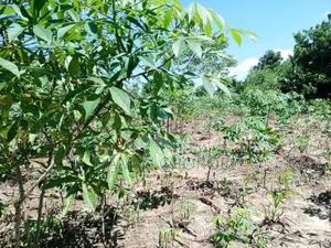 Industry Plot Acre 240 for Sale Zegereni Kibaha