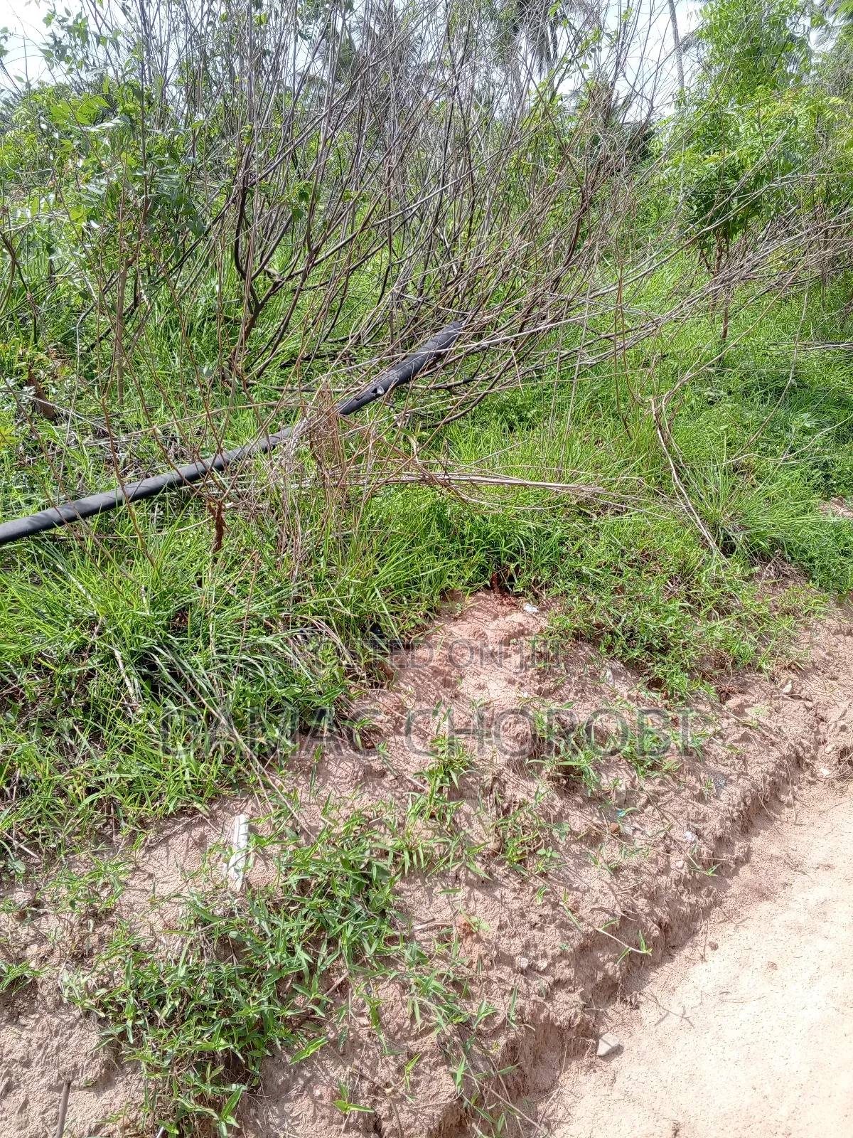 Industry Plot Acre 240 for Sale Zegereni Kibaha