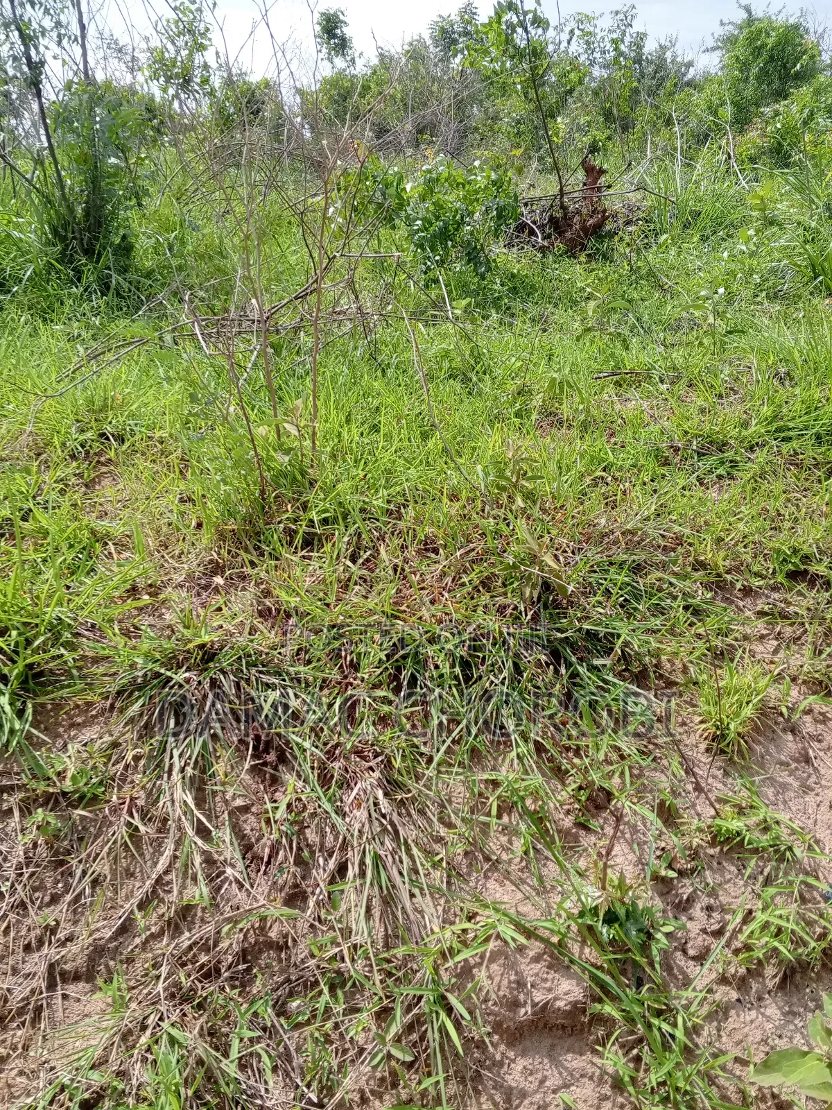 Industry Plot Acre 240 for Sale Zegereni Kibaha