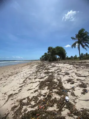 9acres Prime Beach Plot for Sale at Kigamboni Buyuni