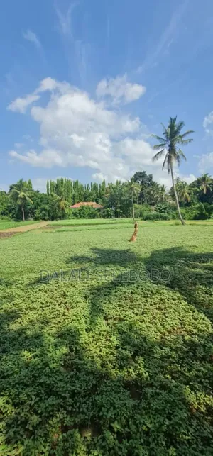 Plot 2hecter at Kiluvya Kwa Komba