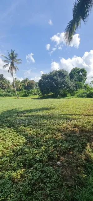 Plot 2hecter at Kiluvya Kwa Komba