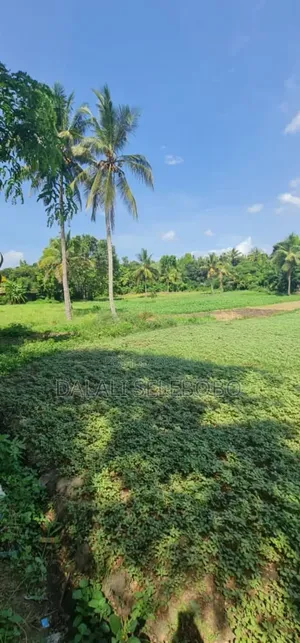 Plot 2hecter at Kiluvya Kwa Komba