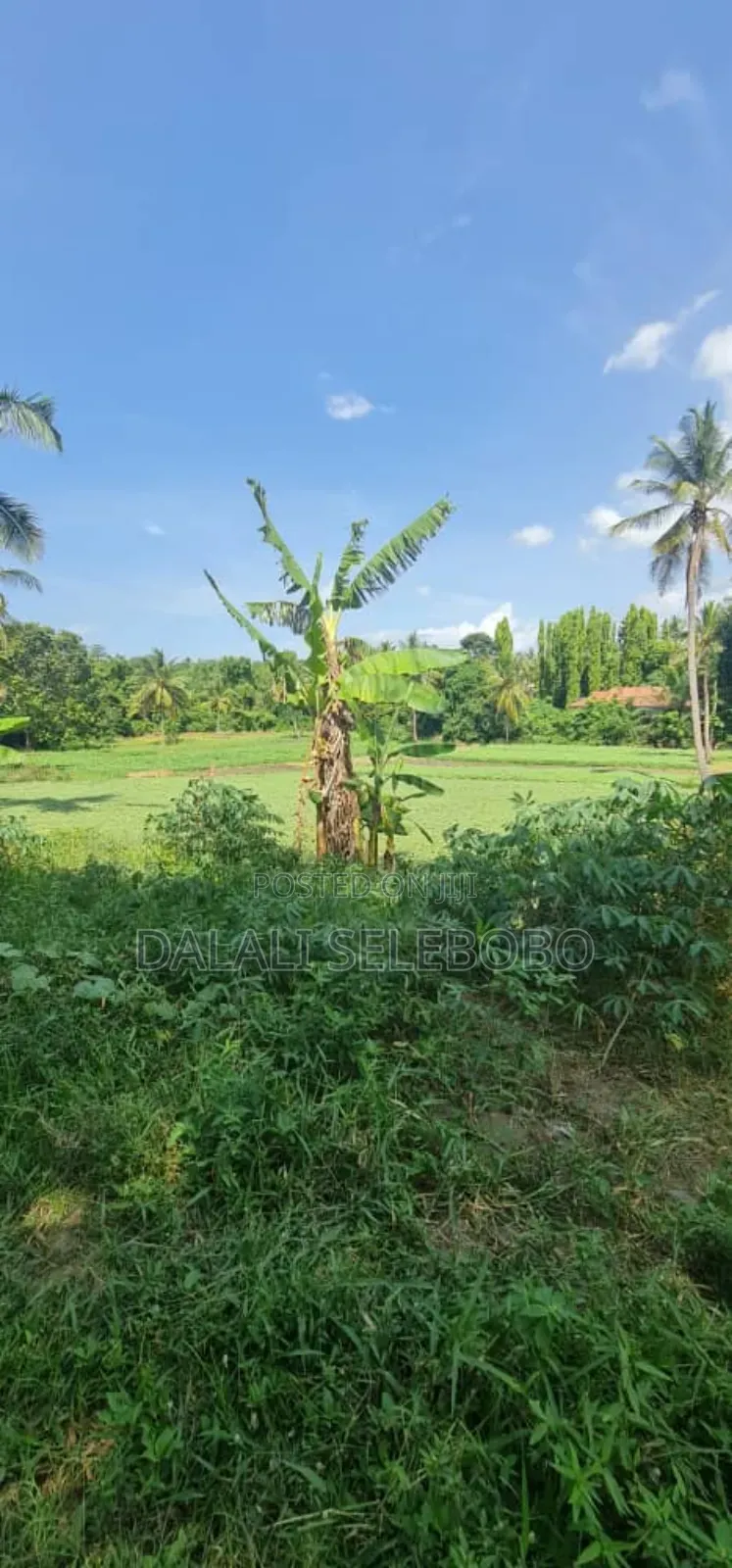 Plot 2hecter at Kiluvya Kwa Komba