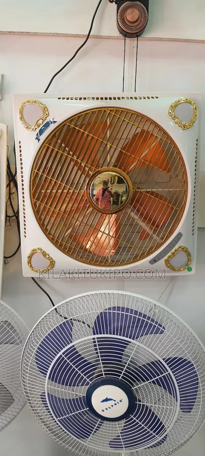 Dolphin Surface Box Fan
