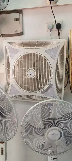 Dolphin Surface Box Fan