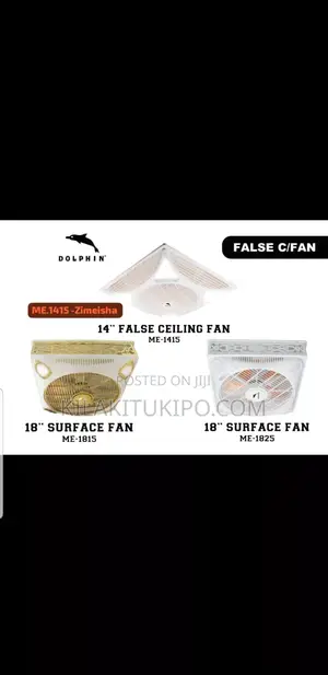 Dolphin Surface Box Fan