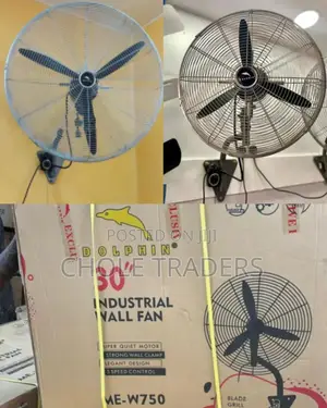 Dolphin 30 Inch Industrial Wall Fan