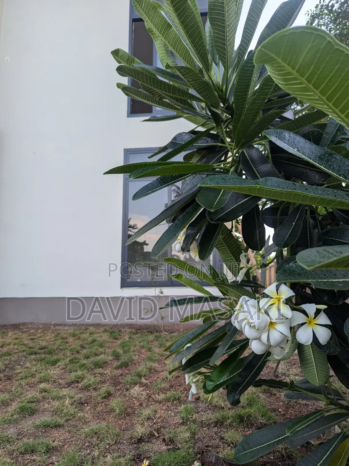 Furnished 2bdrm Apartment in Bright Homes, Oyster Bay for rent