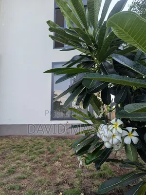 Furnished 2bdrm Apartment in Bright Homes, Oyster Bay for rent