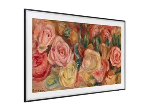 Samsung TV Inch 55ls03d
