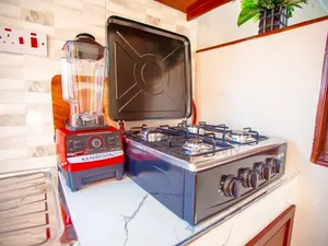 Furnished 1bdrm House in Mikocheni for rent