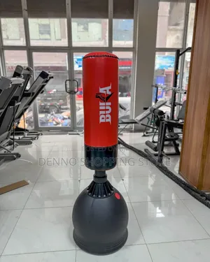 Standing Punching Bag
