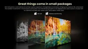 Hisense 55U6N Pro Mini-Led Uled Vidaa Smart TV