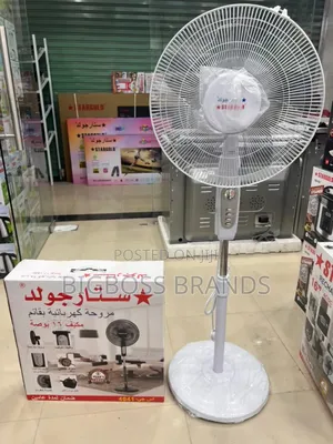 Star Gold Electric Stand Fan 16