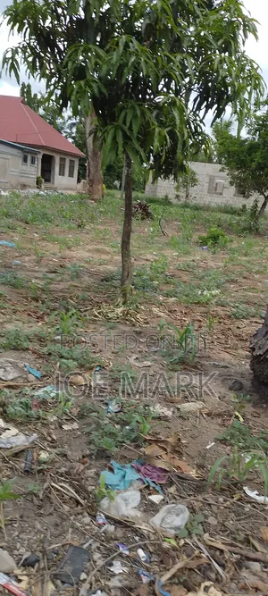 Kiwanja Kinauzwa Kibaha Kwa Mfipa