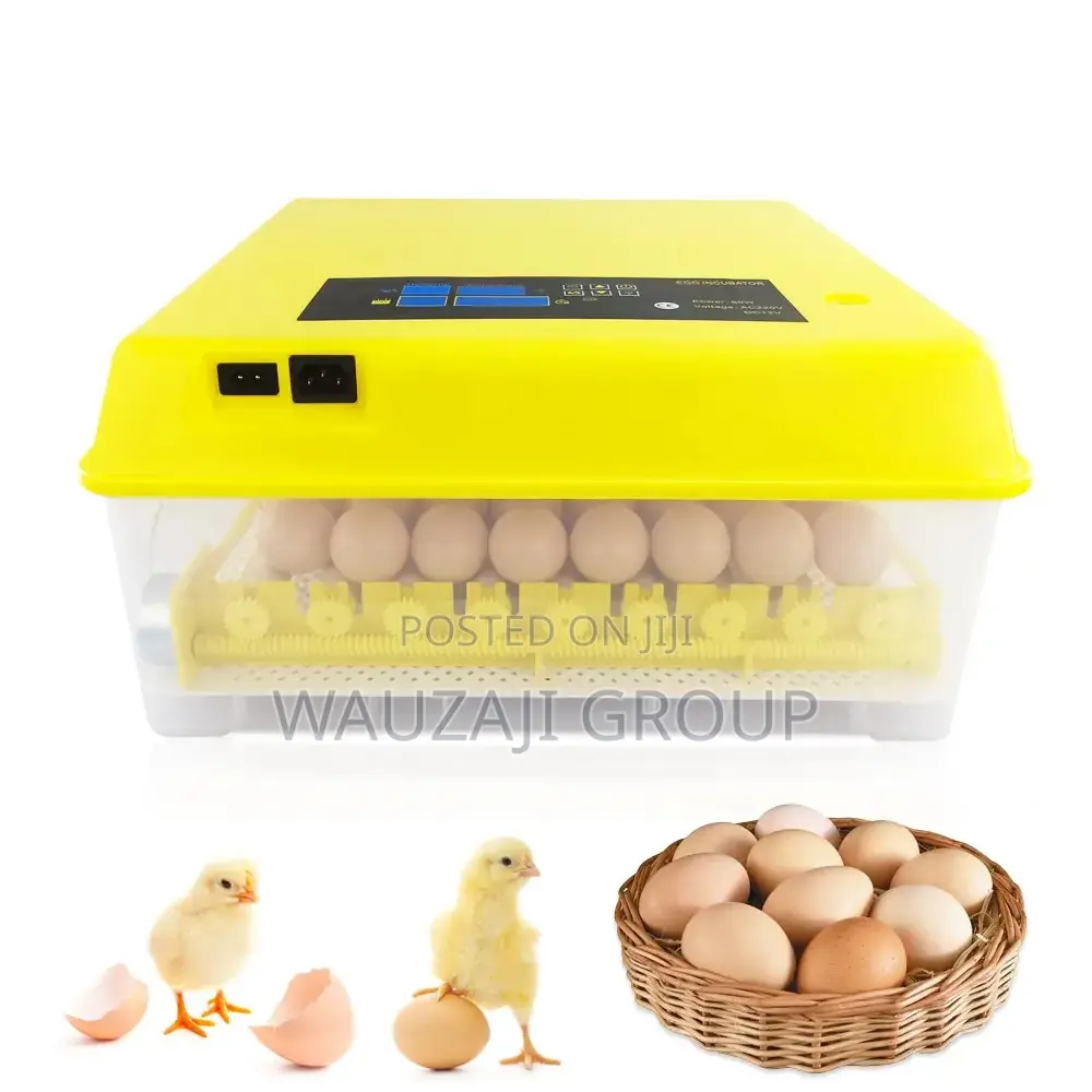 Egg Incubator
