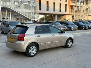 Toyota Corolla RunX 2003 Silver