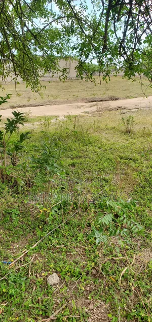 Goba Plot.Big Fot1600sqmt to 1000sqmts