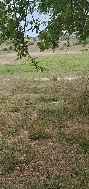 Goba Kiwanja Eneo Kubwa Limekatwa