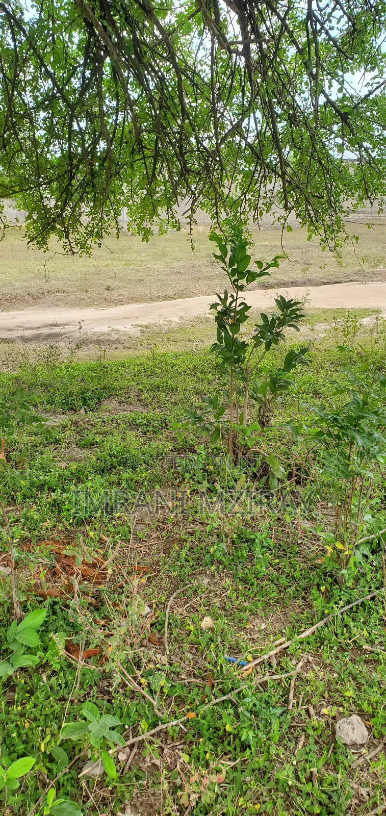 Goba Kiwanja Eneo Kubwa Limekatwa