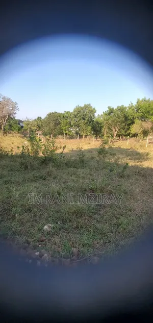 Sala Sala_mivumoni Eneo Viwanja