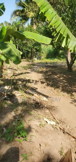 Sala Sala_mivumoni Eneo Viwanja