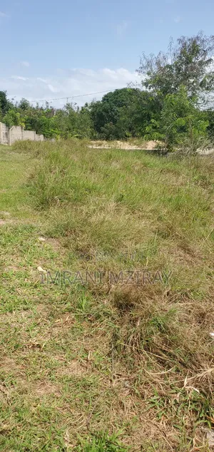 Madale_ Viwanja Jirani Na Wazo Kiwandani