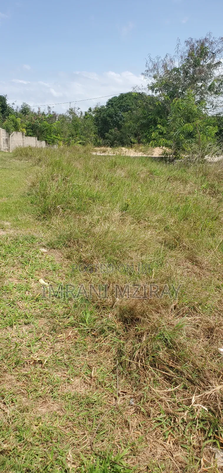 Madale_ Viwanja Jirani Na Wazo Kiwandani