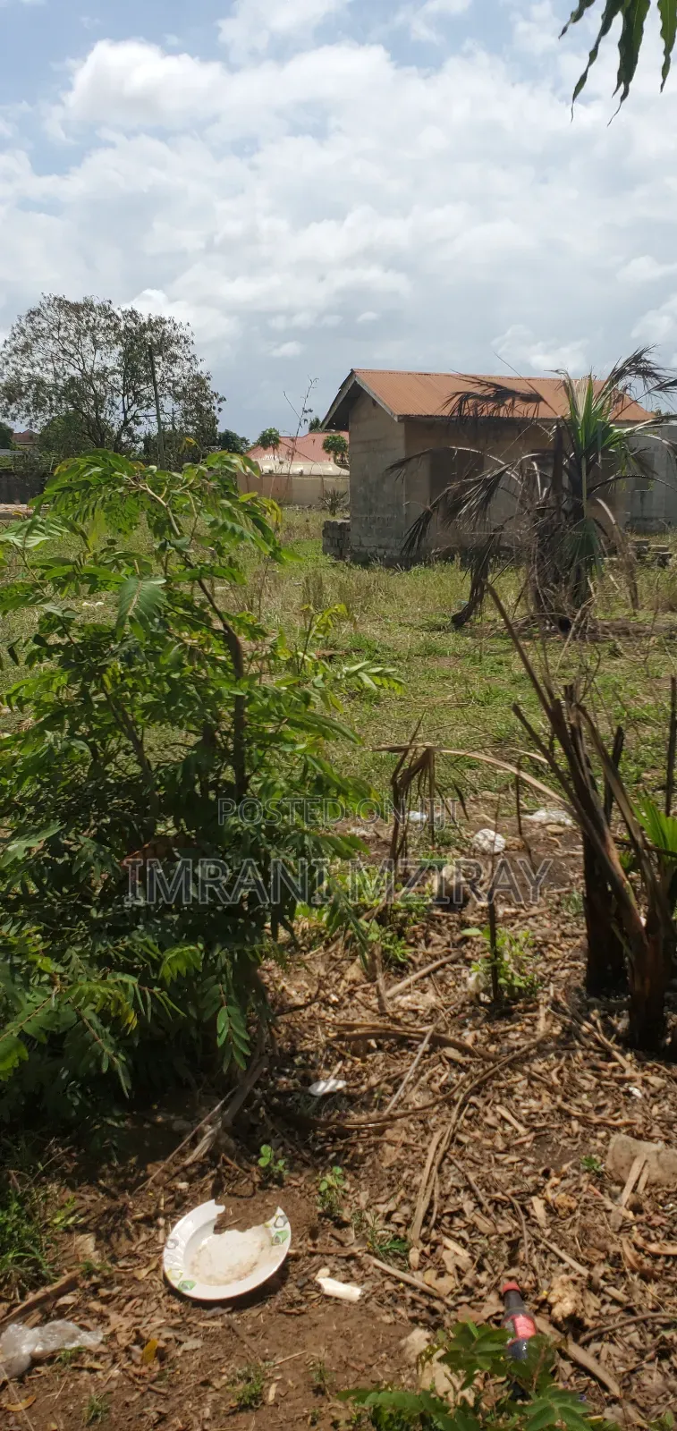Madale_ Viwanja Jirani Na Wazo Kiwandani