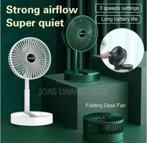 Folding Fan