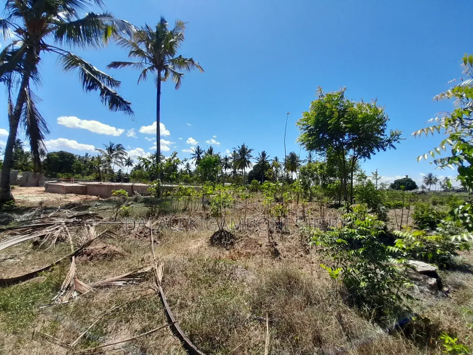 Plot for Sale Kigamboni Kisota