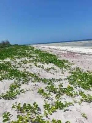 Beach Plots for Sale at Changehela in Mapinga Bagamoyo