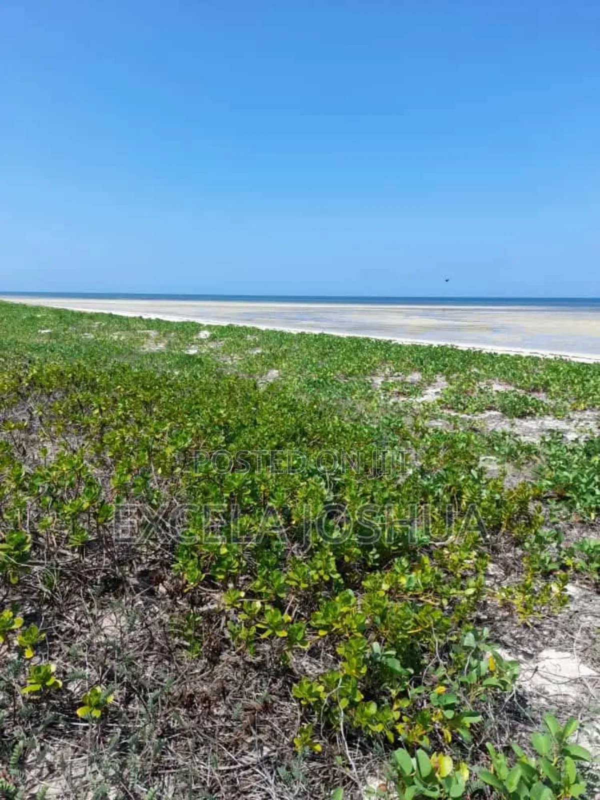 Beach Plots for Sale at Changehela in Mapinga Bagamoyo
