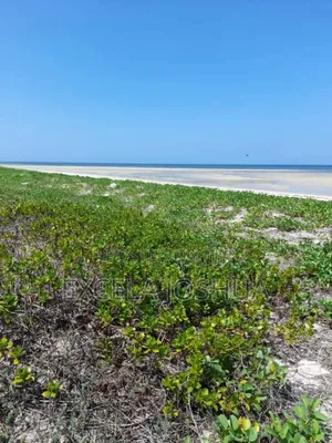Beach Plots for Sale at Changehela in Mapinga Bagamoyo