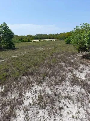 Beach Plots for Sale at Changehela in Mapinga Bagamoyo