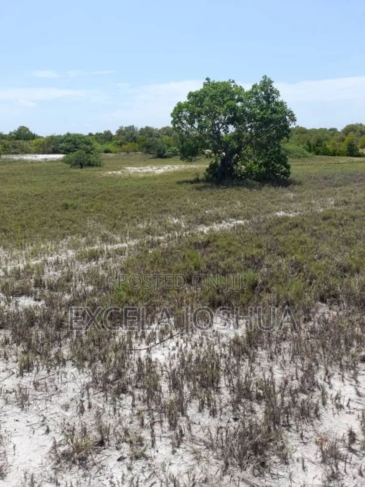 Beach Plots for Sale at Changehela in Mapinga Bagamoyo